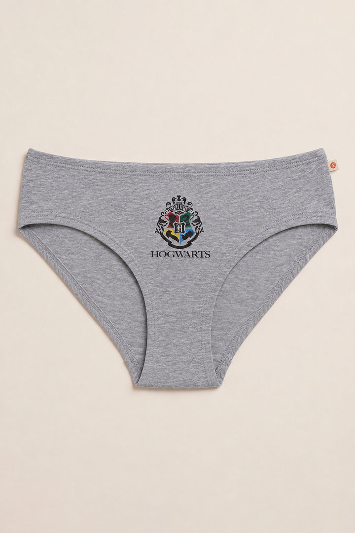 Zivame Girls Harry Potter Briefs (Pack of 2) - Multicolor — image 5